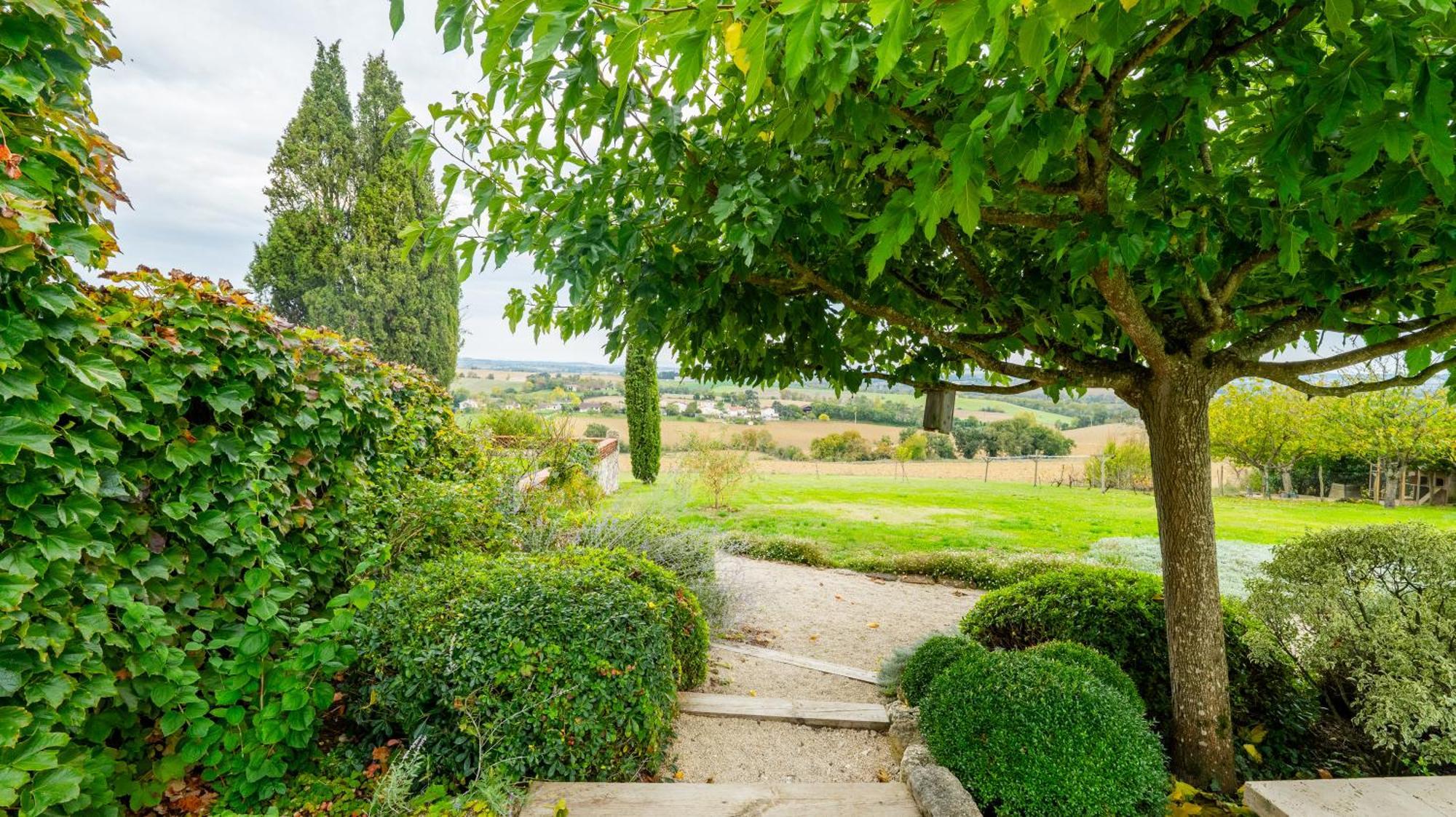 Bed and Breakfast Propriete Le Monneton Sainte-Christie Exteriér fotografie